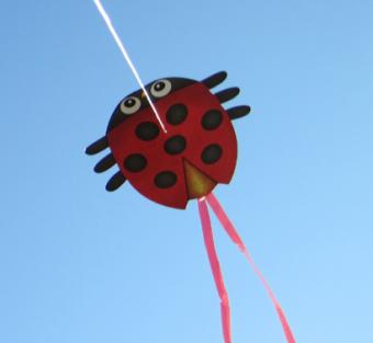 Mini micro kites coccinelle