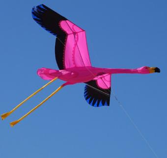Flying Flamingo 3D