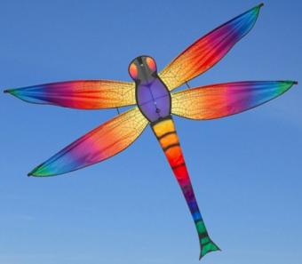 Dragonfly Kite Rainbow