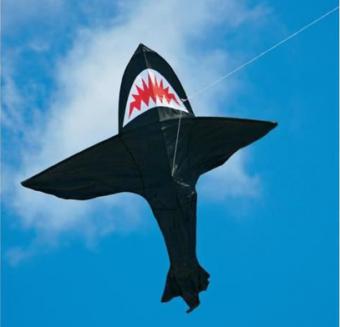 Shark kite